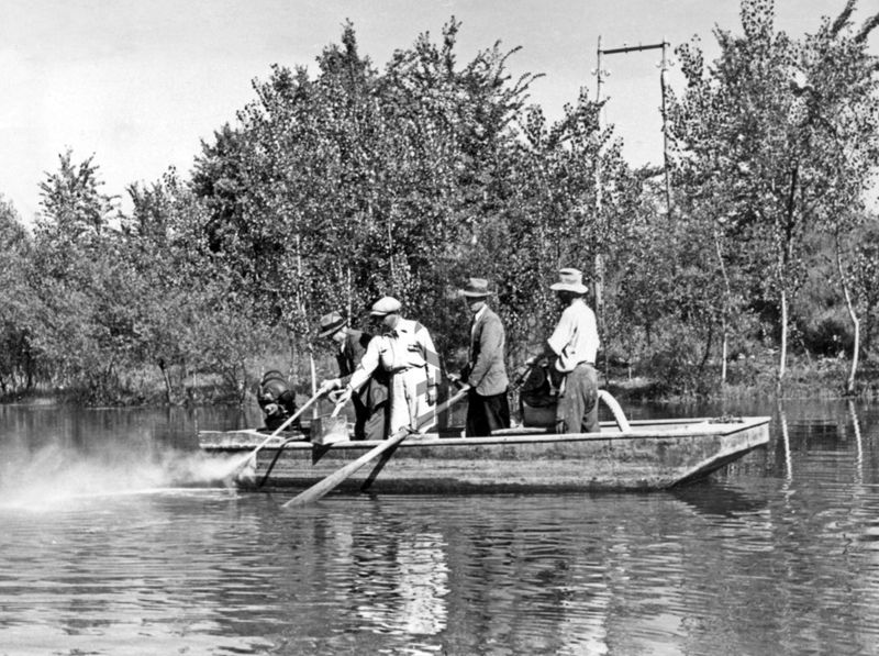 Lago di Isoletta del Liri - spandimento del Verde di Parigi mediante ventilatore elettrico