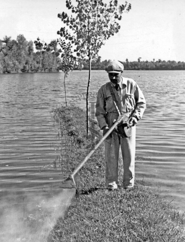 Lago di Isoletta del Liri - spandimento del Verde di Parigi mediante apparecchio a spalla usato dai coltivatori di cotone