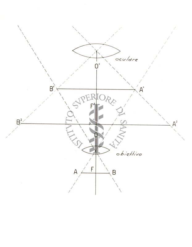 Schema di un microscopio composto