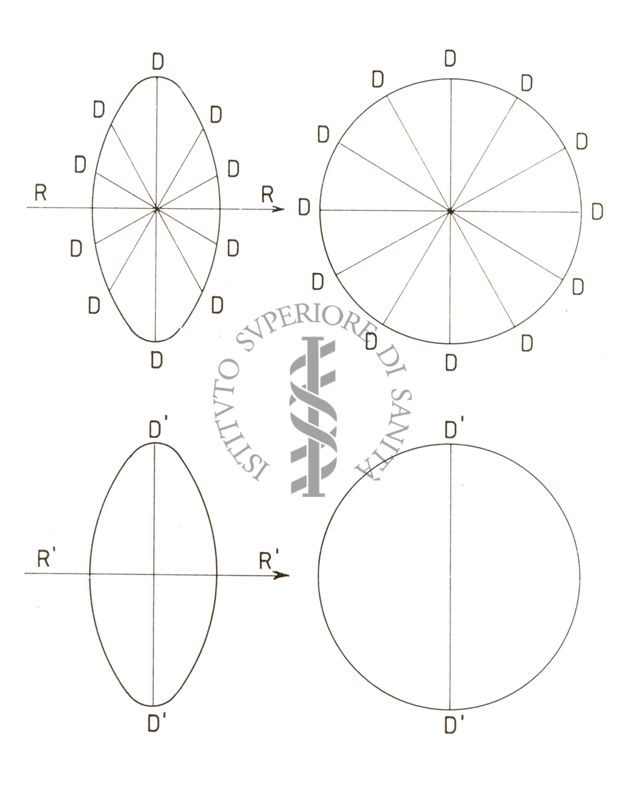 Polarizzazione circolare ed ellittica