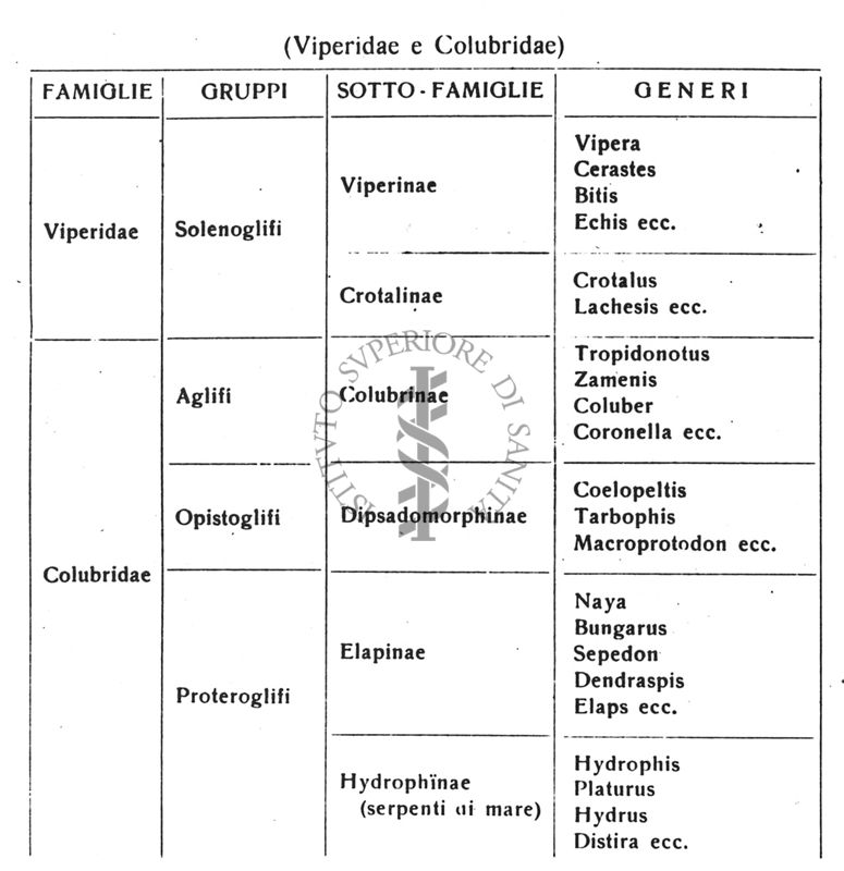 Tabella qualificativa dei serpenti velenosi delle Colonie Africane