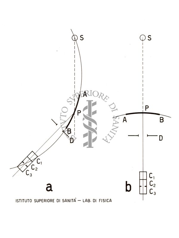 Schema distribuzione neutroni protoni