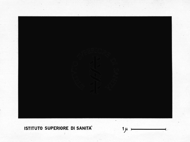 Maschera per la stampa delle diapositive