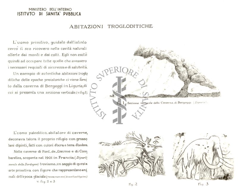 Ciclo evolutivo dell'abitazione umana.