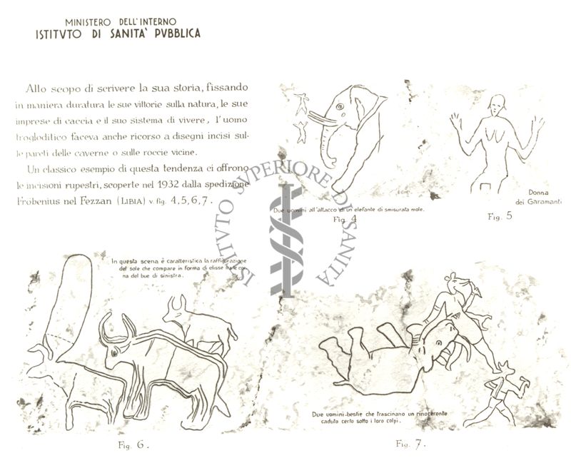 Ciclo evolutivo dell'abitazione umana.