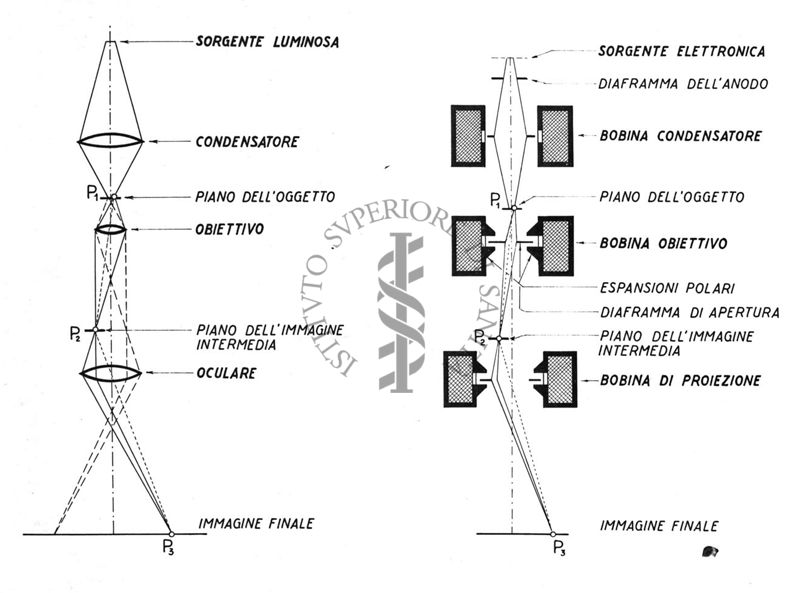 Schema dei raggi nel microscopio elettronico e nel microscopio luminoso