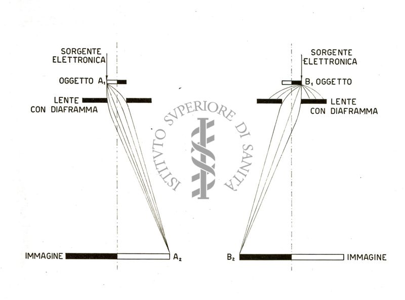 Formazione dell'immaggine nel microscopio elettronico