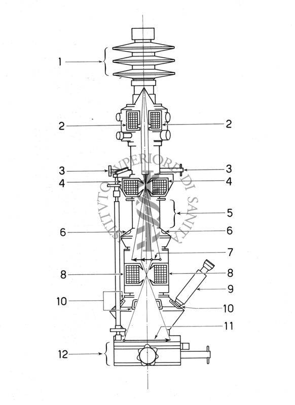 Disegno schematico del microscopio elettronico