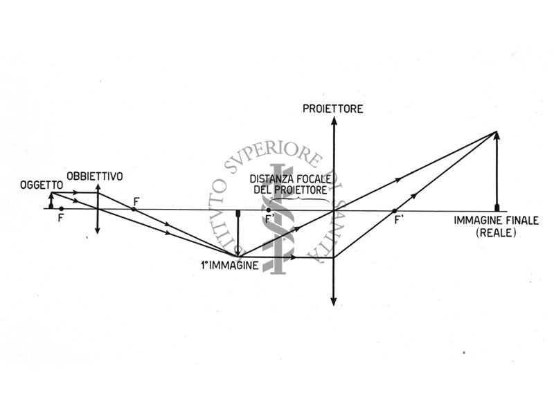 Particolare schematico di un microscopio
