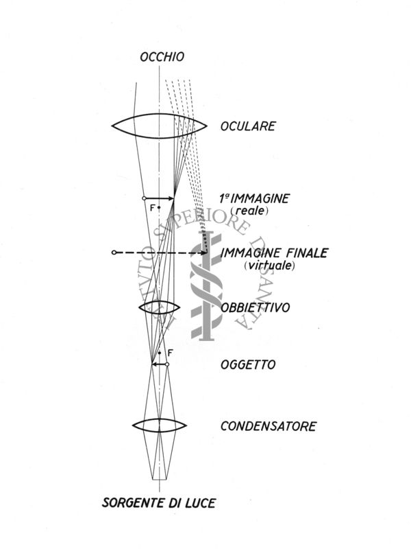 Schema della parte ottica di un microscopio