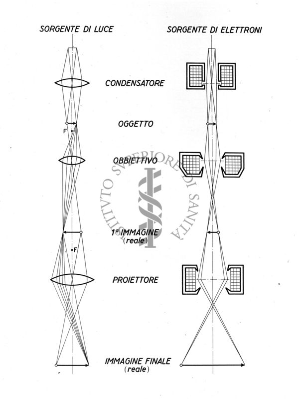 Schema della parte ottica di un microscopio