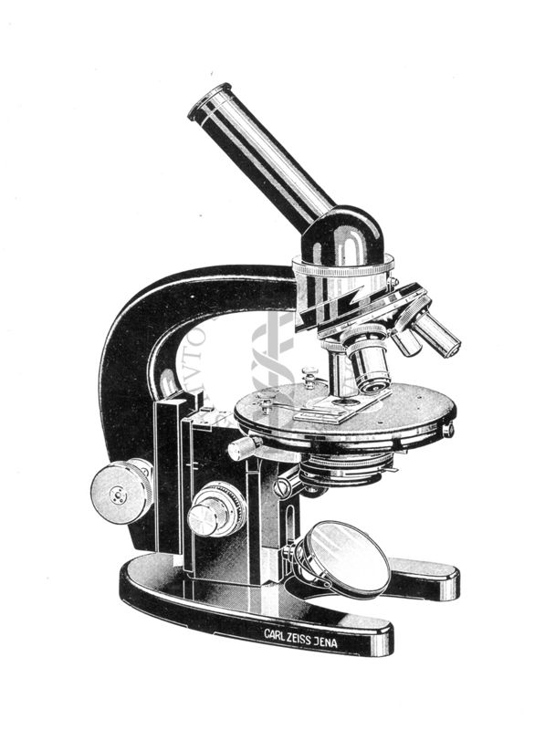 Tipo di microscopio Zeiss. da laboratorio a visione obbliqua