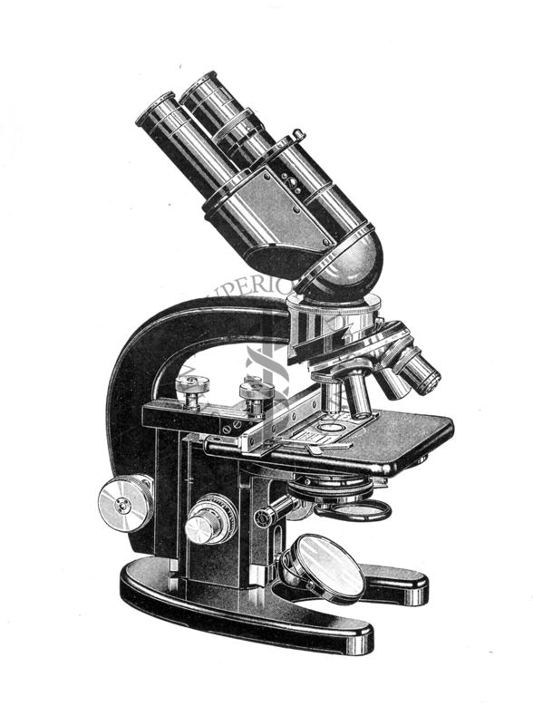 Tipo di microscopio Zeiss, binoculare, da laboratorio e da ricerche