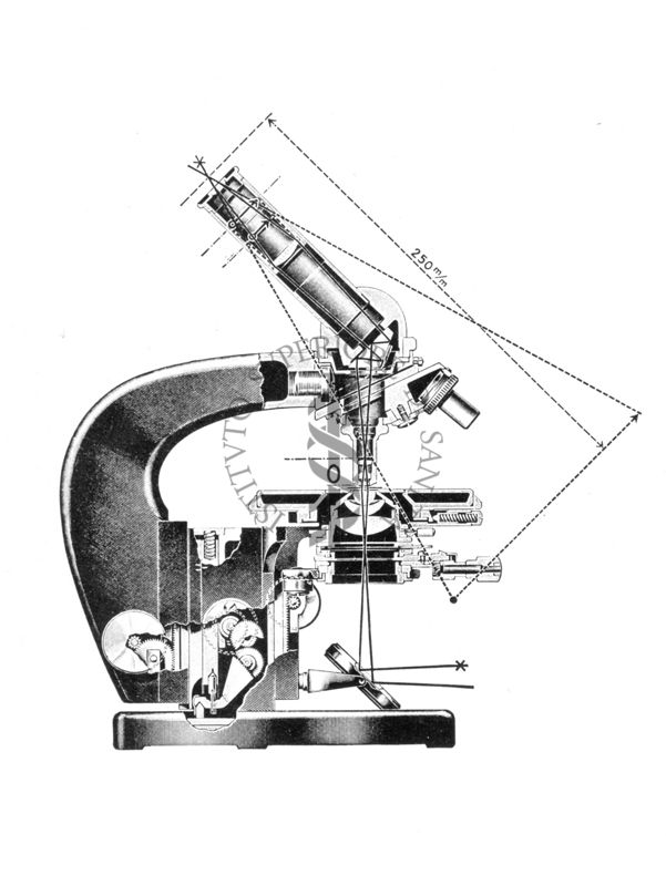 Sezione longitudinale di un microscopio