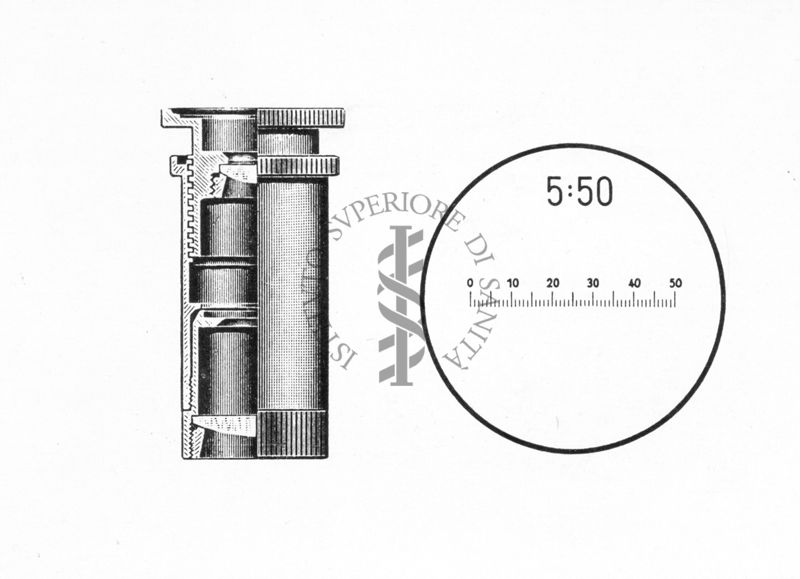 Micrometro oculare