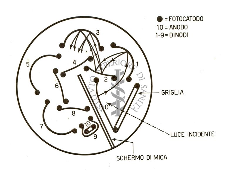 Moltiplicatore di elettroni