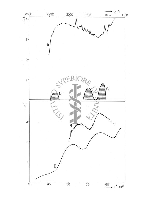 Spettri di assorbimento di furaro - pirrolo - tetraidrofurano e pirrolidina