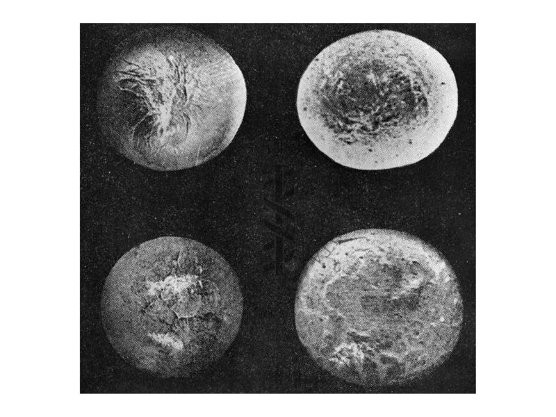 Leghe di uranio con molibdeno prima (sopra) e dopo (sotto) irraggiamento. Aumento di volume, però abbastanza isotropo