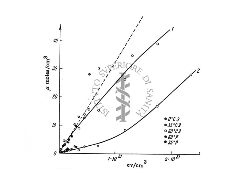 Formazione di composti carbonilici ed acidi da n-heptane irraggiato in presenza di ossigeno.