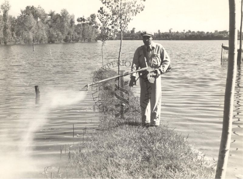 Lago di Isoletta del Liri, spandimento del Verde di Parigi mediante apparecchio a spalla usato dai coltivatori del cotone