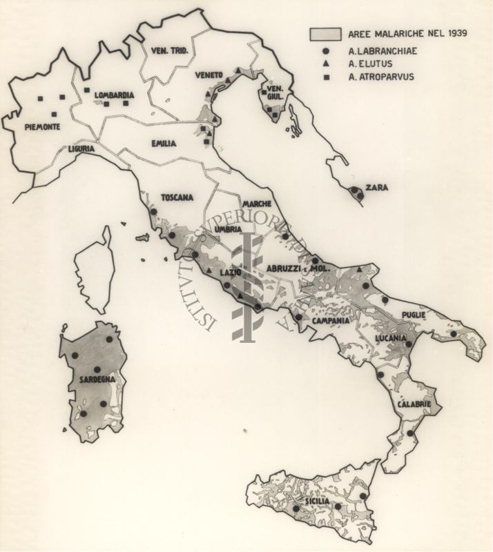 Cartogramma riguardante le aree malariche nel 1939 in Italia