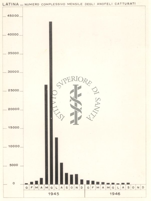 Diagramma riguardante il numero complessivo mensile degli anofeli catturati (1945-46) a Latina