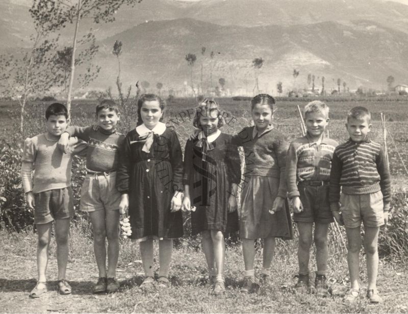 Gruppo di bambini in un campo