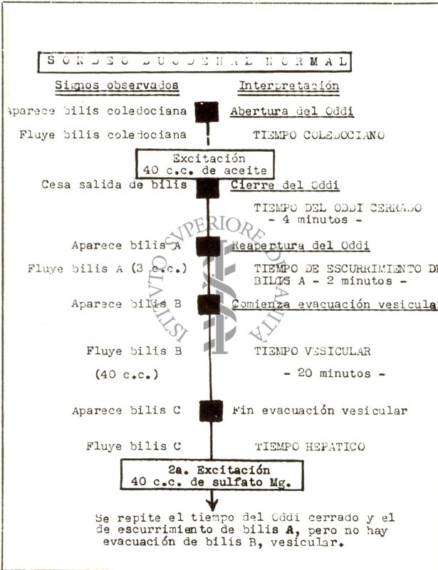 Conferenza Prof. Varela Fuentes (Spagna)