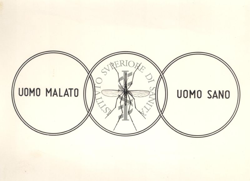 Grafico raffigurante l'anello di congiungimento tra l'uomo malato e l'uomo sano