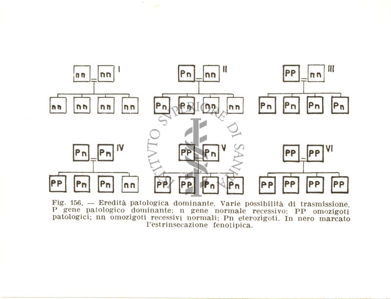 Schema sull'eredità