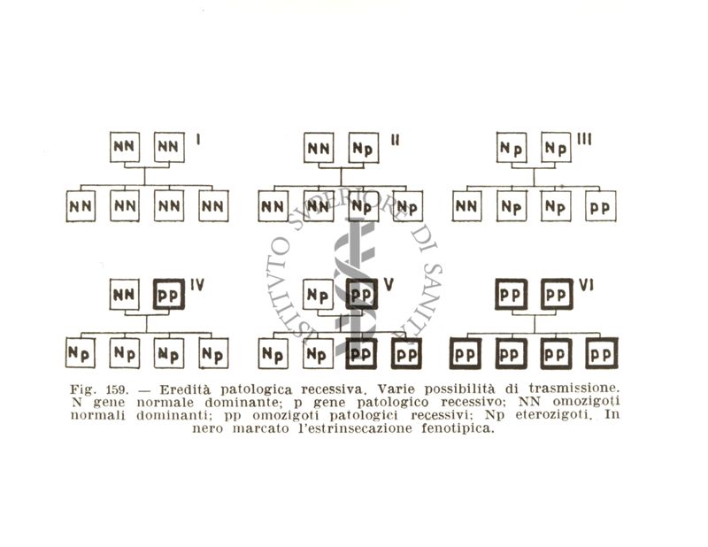 Schema sull'eredità