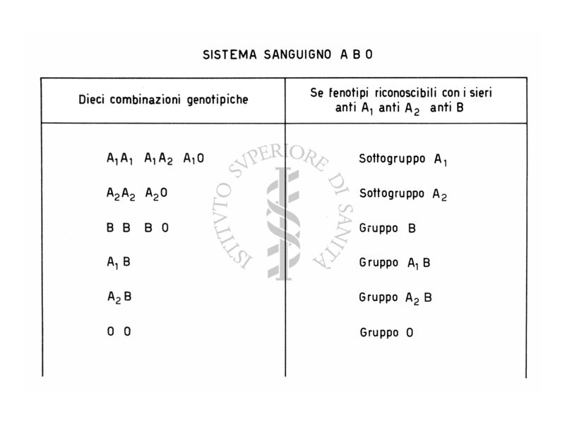 Sistema sanguigno A.B.O.