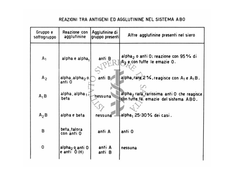 Reazioni tra antigeni ed agglutinine nel sistema A.B.O.