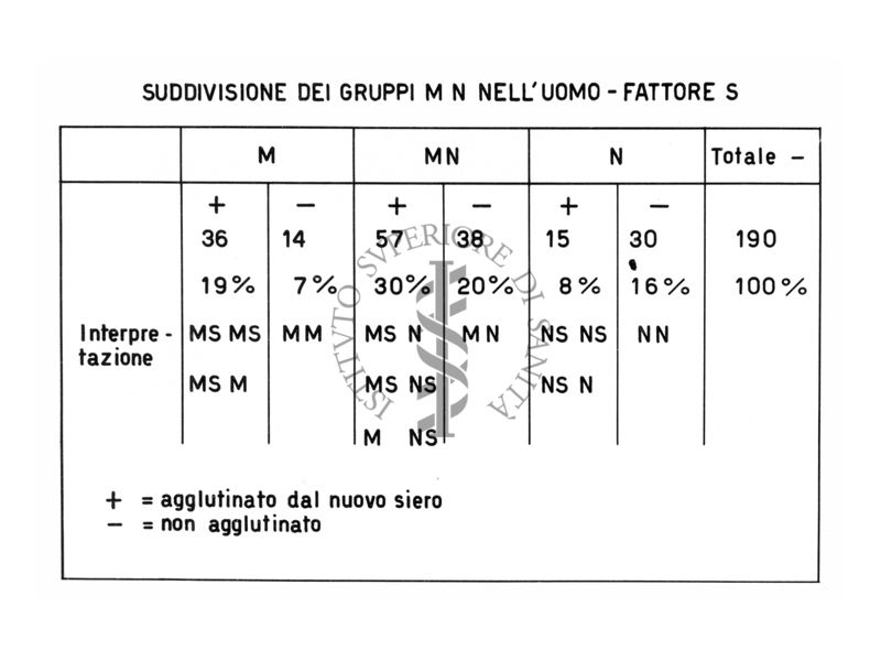 Suddivisione dei gruppi M N nell'uomo - fattore S