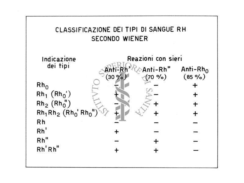 Classificazione dei tipi di sangue R H secondo Wiener