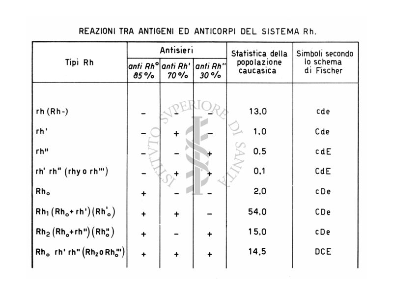 Reazioni tra antigeni ed anticorpi del sistema R H