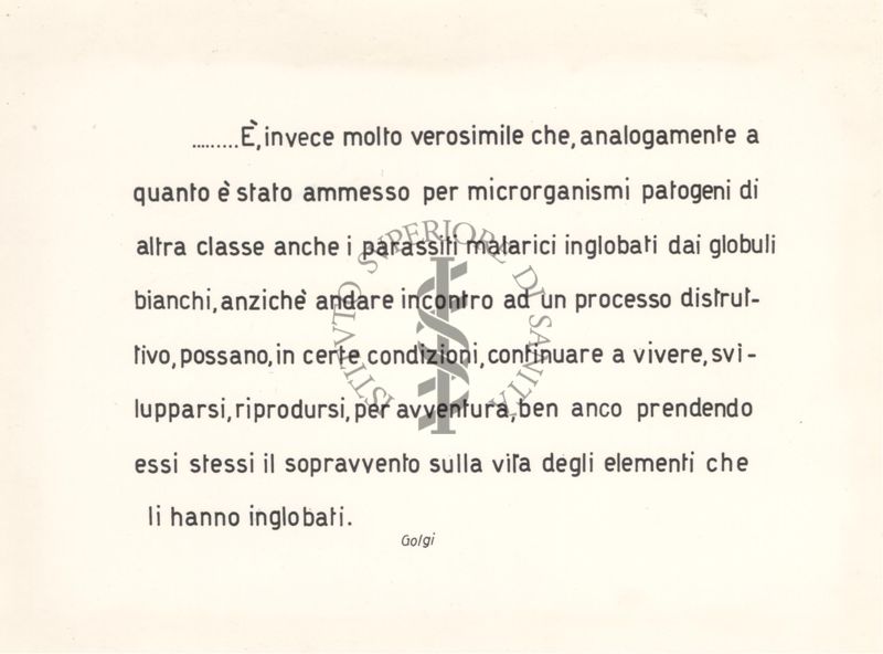 Immagine su cui è riportato un pensiero del professor Golgi sull'infezione malarica