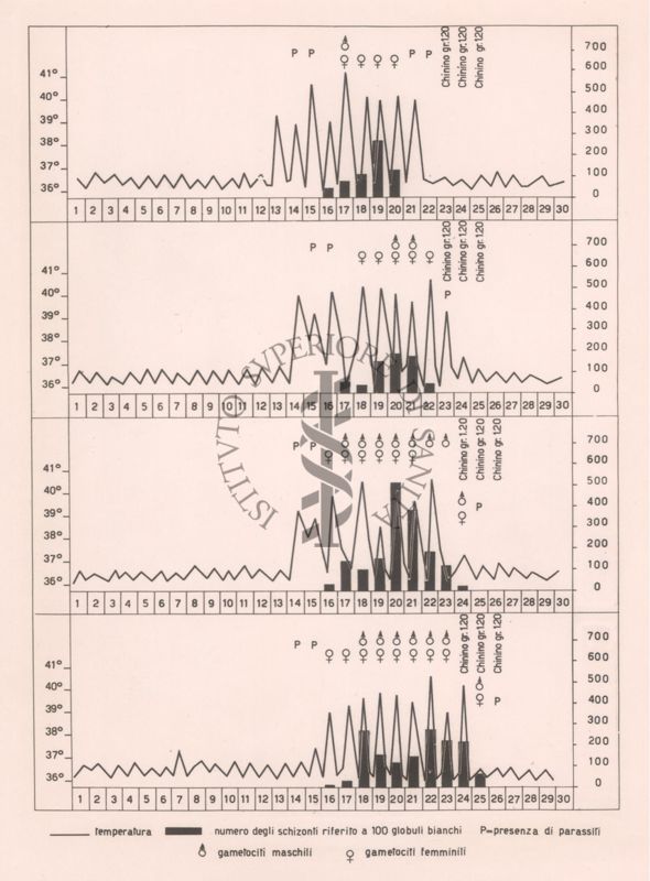 Diagramma riguardante la temperatura-numero degli schizonti riferito a 100 globuli bianchi, ecc.