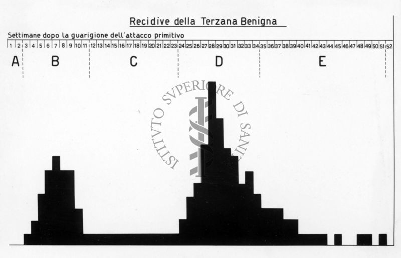 Diagramma riguardante le recidive della Terzana benigna