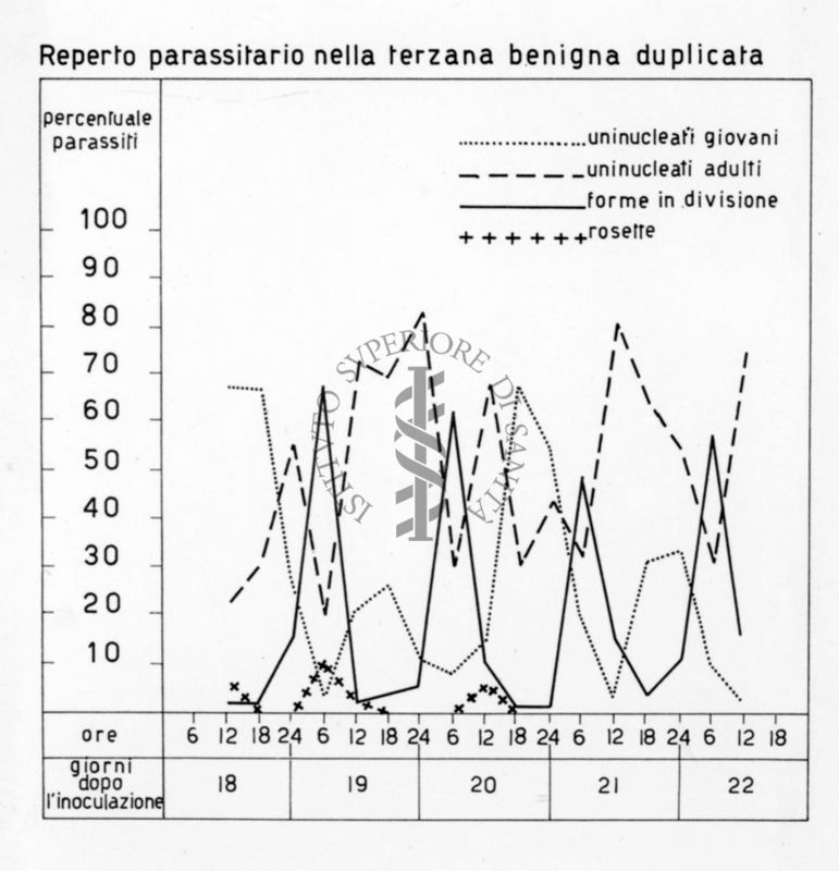Reperto parassitario nella Terzana benigna duplicata