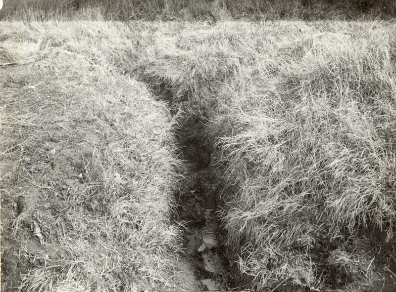 Immagine di un canale di drenaggio superficiale. Nettuno.