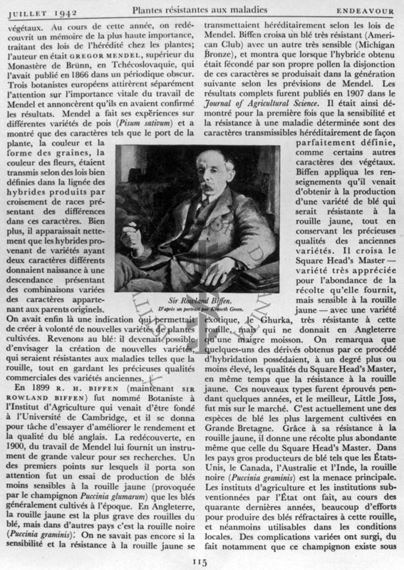 Riproduzione della seconda pagina dell'articolo "Plantes résistantes aux maladies" di F. T. Brooks, pagina 115 della rivista Endeavour, edizione francese