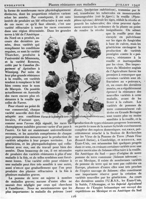 Riproduzione della terza pagina dell'articolo "Plantes résistantes aux maladies" di F. T. Brooks, pagina 116 della rivista Endeavour, edizione francese