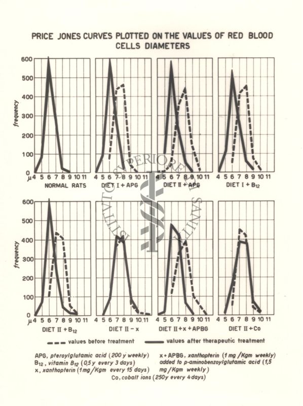 Curve di frequenza dei diametri delle emazie di ratti in carenza di acido folico