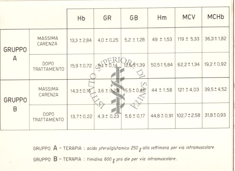 Anemia macrocitica nei ratti carenti di acido folico