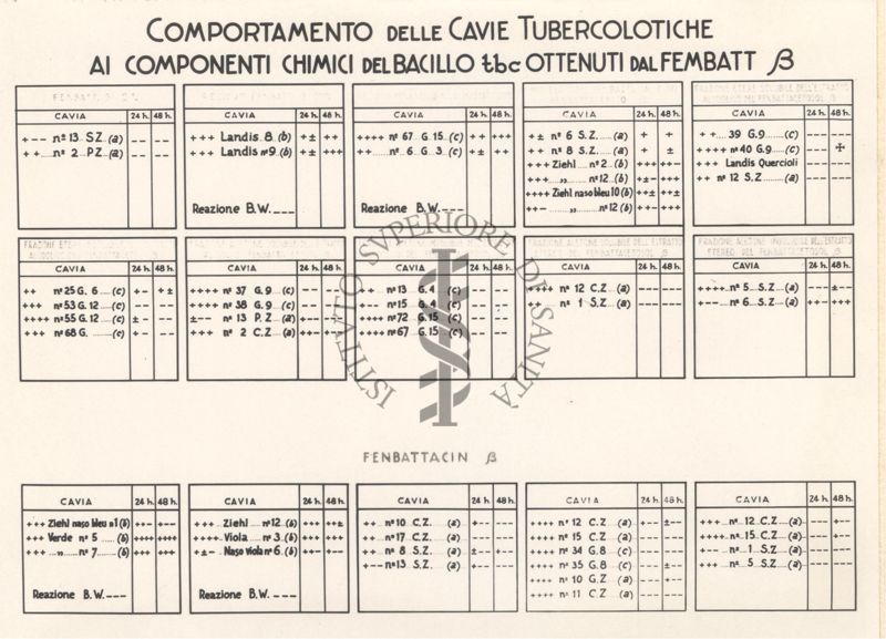 Cartello del comportamento delle cavie tubercolitiche