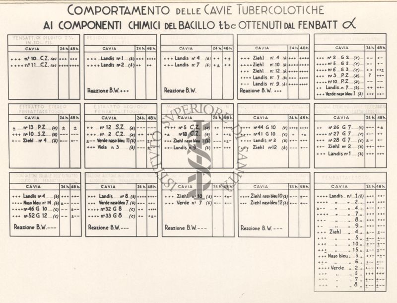 Cartello del comportamento delle cavie tubercolitiche