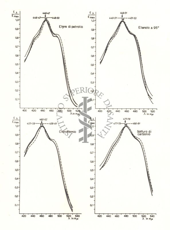 Diagramma riguardante gli spettri di assorbimento dei carotenoidi estratti da ceppi della specie Phlei