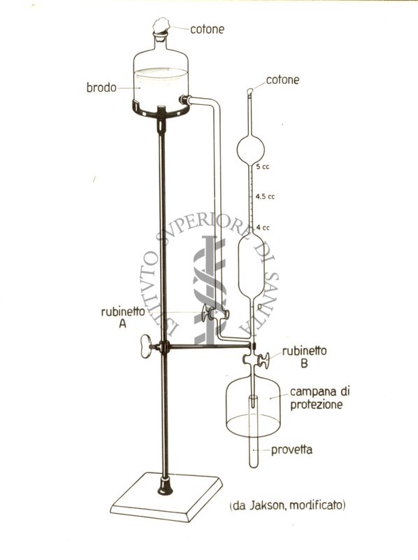 Apparecchio per riempimento provette