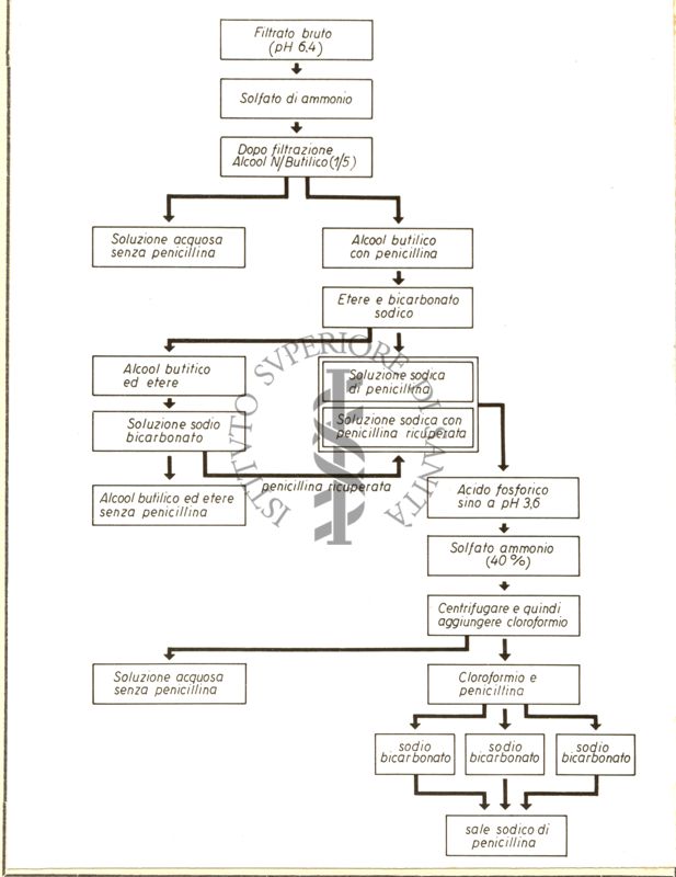 Metodo di estrazione della Penicillina (alcol butilico)